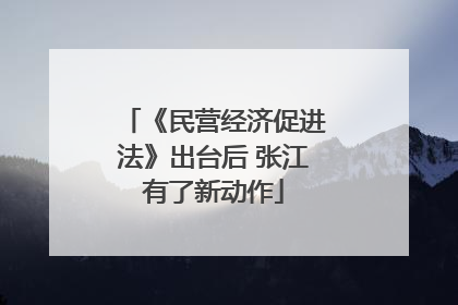《民营经济促进法》出台后 张江有了新动作