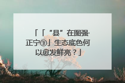 「“县”在图强·正宁③」生态底色何以愈发鲜亮？