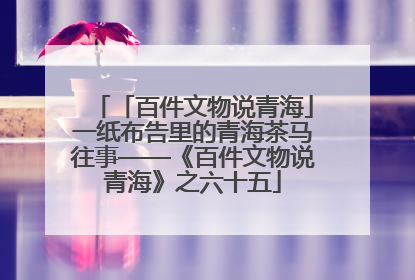 「百件文物说青海」一纸布告里的青海茶马往事——《百件文物说青海》之六十五