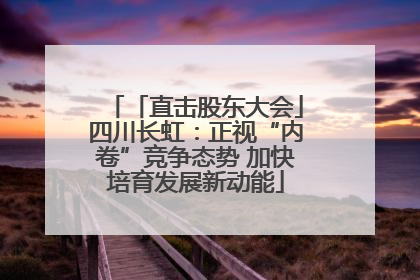 「直击股东大会」四川长虹：正视“内卷”竞争态势 加快培育发展新动能