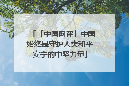 「中国网评」中国始终是守护人类和平安宁的中坚力量