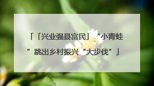 「兴业强县富民」“小青蛙”跳出乡村振兴“大步伐”