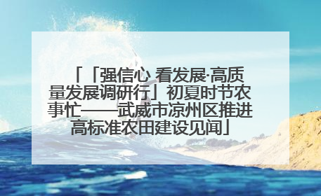「强信心 看发展·高质量发展调研行」初夏时节农事忙——武威市凉州区推进高标准农田建设见闻