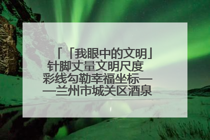 「我眼中的文明」针脚丈量文明尺度 彩线勾勒幸福坐标——兰州市城关区酒泉路街道办事处