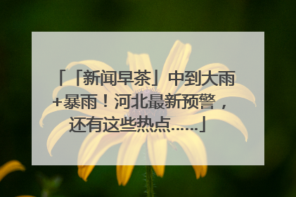 「新闻早茶」中到大雨+暴雨！河北最新预警，还有这些热点……