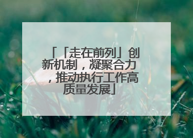 「走在前列」创新机制，凝聚合力，推动执行工作高质量发展