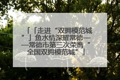 「走进“双拥模范城”」鱼水情深耀常德——常德市第三次荣膺“全国双拥模范城”