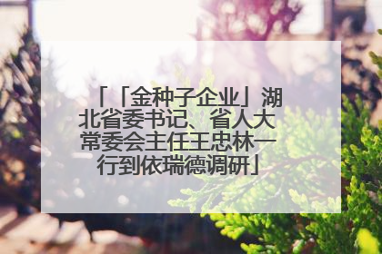 「金种子企业」湖北省委书记、省人大常委会主任王忠林一行到依瑞德调研