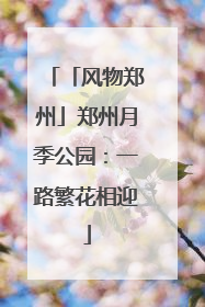 「风物郑州」郑州月季公园：一路繁花相迎