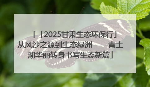 「2025甘肃生态环保行」从风沙之源到生态绿洲——青土湖华丽转身书写生态新篇