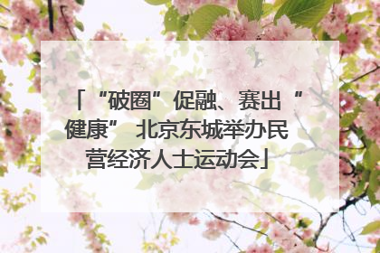 “破圈”促融、赛出“健康” 北京东城举办民营经济人士运动会