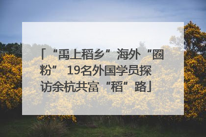 “禹上稻乡”海外“圈粉” 19名外国学员探访余杭共富“稻”路