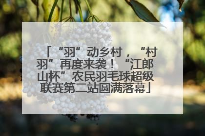 “羽”动乡村，“村羽”再度来袭！“江郎山杯”农民羽毛球超级联赛第二站圆满落幕