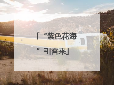 “紫色花海”引客来
