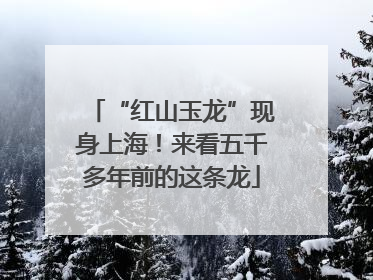 “红山玉龙”现身上海！来看五千多年前的这条龙