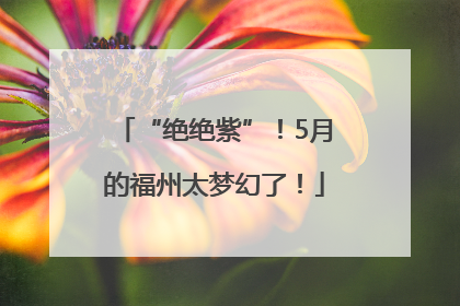 “绝绝紫”！5月的福州太梦幻了！