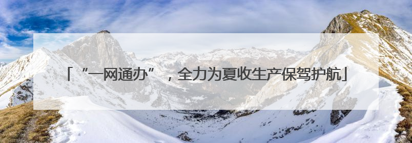 “一网通办”，全力为夏收生产保驾护航