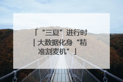 “三夏”进行时｜大数据化身“精准割麦机”