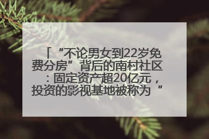 “不论男女到22岁免费分房”背后的南村社区：固定资产超20亿元，投资的影视基地被称为“山村好莱坞”