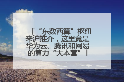 “东数西算”枢纽来沪推介，这里竟是华为云、腾讯和网易的算力“大本营”