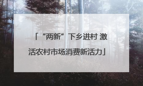 “两新”下乡进村 激活农村市场消费新活力