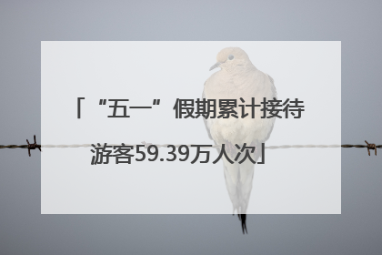“五一”假期累计接待游客59.39万人次