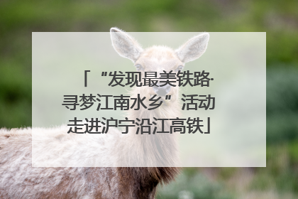“发现最美铁路·寻梦江南水乡”活动走进沪宁沿江高铁