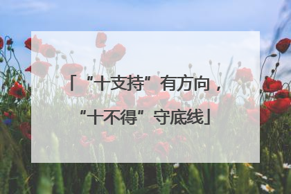 “十支持”有方向，“十不得”守底线