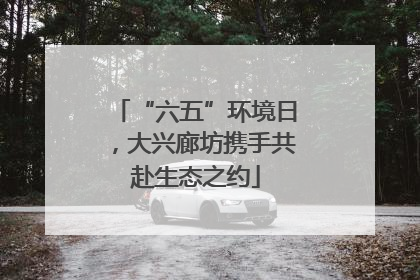 “六五”环境日，大兴廊坊携手共赴生态之约