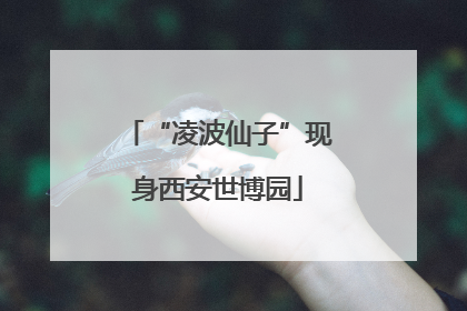“凌波仙子”现身西安世博园