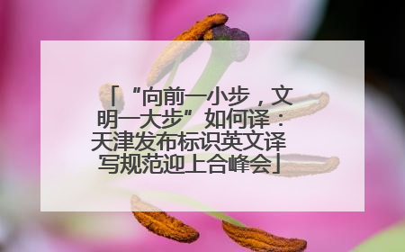 “向前一小步，文明一大步”如何译：天津发布标识英文译写规范迎上合峰会