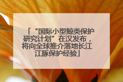 “国际小型鲸类保护研究计划”在汉发布，将向全球推介落地长江江豚保护经验
