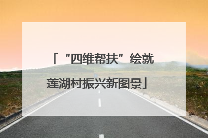 “四维帮扶”绘就莲湖村振兴新图景