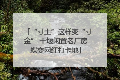 “寸土”这样变“寸金” 十堰闲置老厂房蝶变网红打卡地