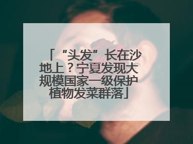 “头发”长在沙地上？宁夏发现大规模国家一级保护植物发菜群落