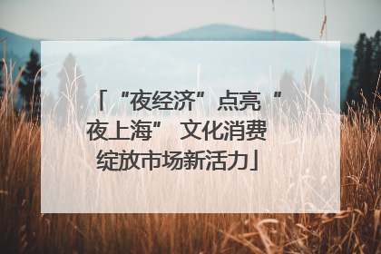 “夜经济”点亮“夜上海” 文化消费绽放市场新活力
