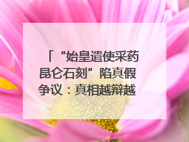 “始皇遣使采药昆仑石刻”陷真假争议：真相越辩越明｜新京报专栏