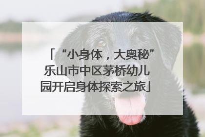 “小身体，大奥秘” 乐山市中区茅桥幼儿园开启身体探索之旅