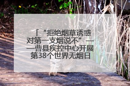 “拒绝烟草诱惑 对第一支烟说不”——曹县疾控中心开展第38个世界无烟日科普宣传活动