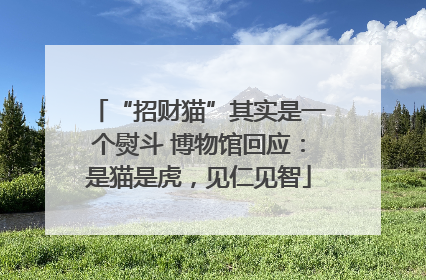 “招财猫”其实是一个熨斗 博物馆回应：是猫是虎，见仁见智