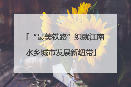 “最美铁路”织就江南水乡城市发展新纽带