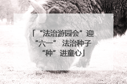 “法治游园会”迎“六一” 法治种子“种”进童心