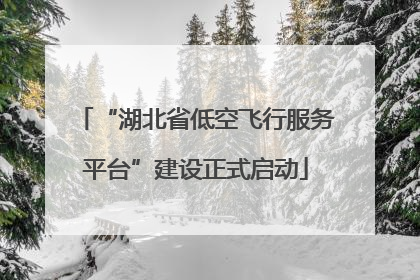 “湖北省低空飞行服务平台”建设正式启动