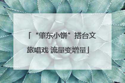 “肇东小饼”搭台文旅唱戏 流量变增量