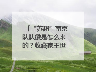 “苏超”南京队队徽是怎么来的？收藏家王世清细说源头