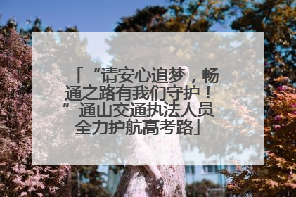 “请安心追梦，畅通之路有我们守护！”通山交通执法人员全力护航高考路