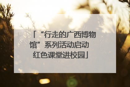 “行走的广西博物馆”系列活动启动 红色课堂进校园