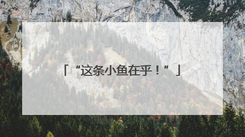 “这条小鱼在乎！”