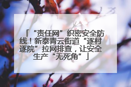 “责任网”织密安全防线！新泰青云街道“逐村逐院”拉网排查，让安全生产“无死角”