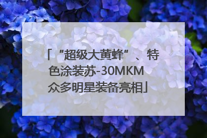 “超级大黄蜂”、特色涂装苏-30MKM 众多明星装备亮相